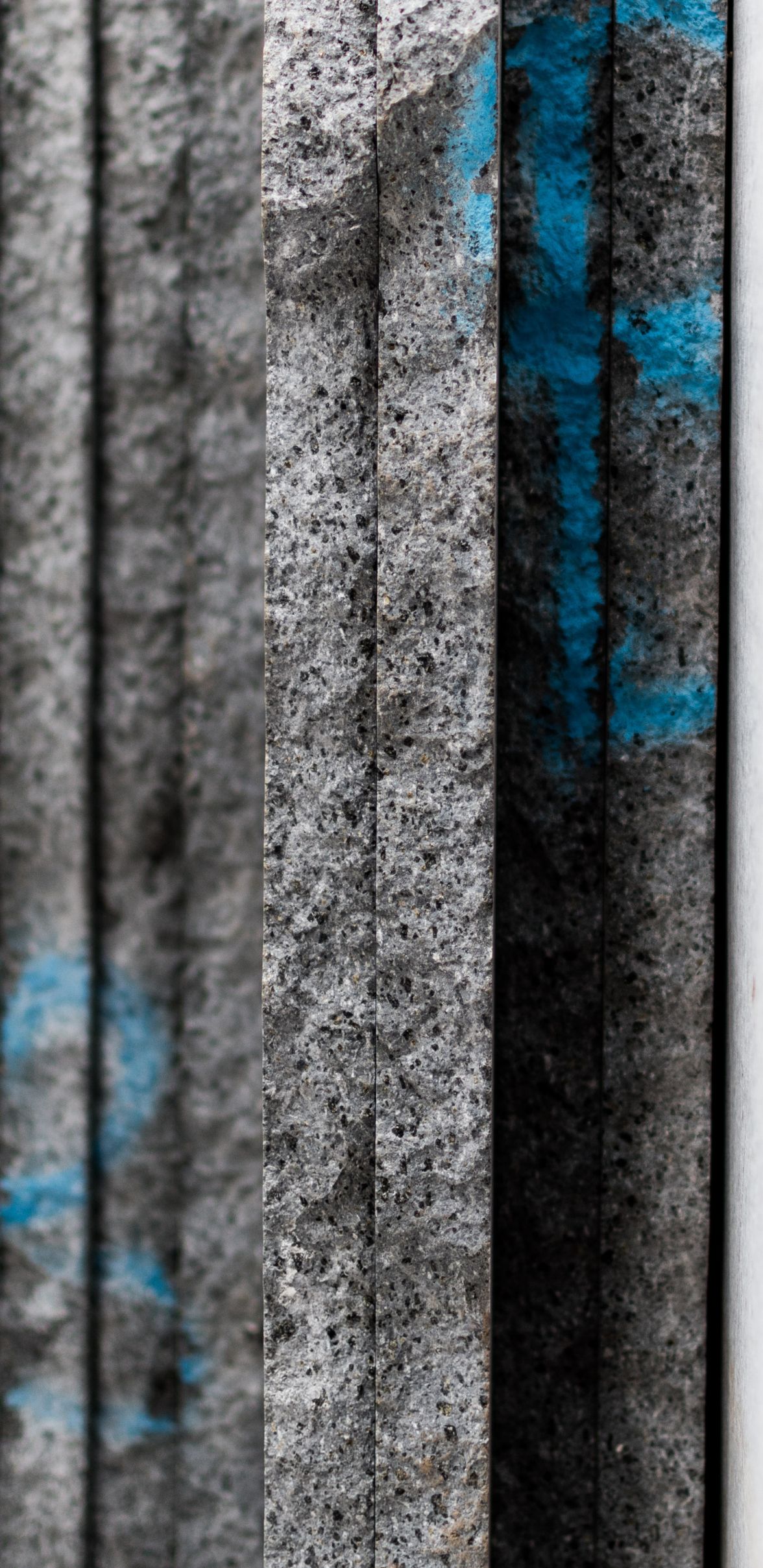 Progetto senza titolo (4)